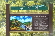 구미정 관광 정보와 주변 관광 명소 및 근처 맛집 여행 정보