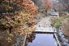 흑석산 자연휴양림 관광 정보와 주변 관광 명소 및 근처 맛집 여행 정보