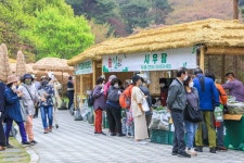 시너지와일드코리아(양평점) | Yongmunsan Wild Plants Festival (양평 용문산 산나물축제) - Festivals - Korea travel and tourism information