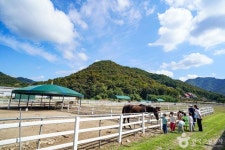 연천승마공원 레저스포츠 정보와 주변 관광 명소 및 근처 맛집 여행 정보