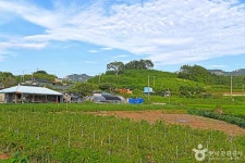 송평해변 - 주변 여행 및 근처 관광 명소 - 국내 여행 정보와 관광 명소 정보