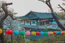 로이드 안양점 - 주변 여행 및 근처 관광 명소 - 국내 여행 정보와 관광 명소 정보