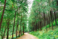 정수사(완주) - 주변 여행 및 근처 관광 명소 - 국내 여행 정보와 관광 명소 정보