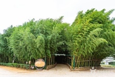 대일함흥냉면 - 주변 여행 및 근처 관광 명소 - 국내 여행 정보와 관광 명소 정보