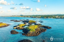 다려도 관광 정보와 주변 관광 명소 및 근처 맛집 여행 정보