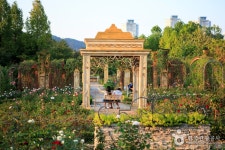 Hanbat Arboretum (한밭수목원) - Sightseeing - Korea travel and tourism information