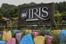 펜션아이리스 숙박 정보와 주변 관광 명소 및 근처 맛집 여행 정보