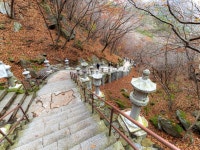 八公山国立公園（カッパウィ地区）（팔공산국립공원（갓바위지구）） - 観光 - 韓国旅行・観光情報