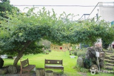 보메와산감귤체험농장 관광 정보와 주변 관광 명소 및 근처 맛집 여행 정보