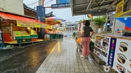 속초관광수산시장 쇼핑 정보와 주변 관광 명소 및 근처 맛집 여행 정보