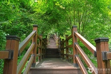 생거진천 자연휴양림 관광 정보와 주변 관광 명소 및 근처 맛집 여행 정보