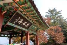 [평화누리길 8코스] 반구정길 레저스포츠 정보와 주변 관광 명소 및 근처 맛집 여행 정보