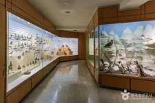 경희대학교 자연사박물관 문화 정보와 주변 관광 명소 및 근처 맛집 여행 정보