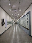 성균관대학교 인문사회과학캠퍼스박물관 문화 정보와 주변 관광 명소 및 근처 맛집 여행 정보