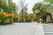 황지 자유시장 - 주변 여행 및 근처 관광 명소 - 국내 여행 정보와 관광 명소 정보