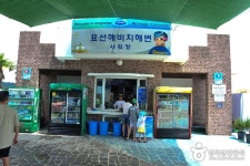 表善 ヘビチ海岸（표선 해비치 해변） - 観光 - 韓国旅行・観光情報