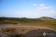 ポニー体験公園（조랑말체험공원） - 観光 - 韓国旅行・観光情報