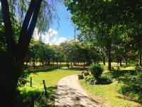 Seoul Forest (서울숲) - Sightseeing - Korea travel and tourism information