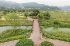 양구꽃섬 관광 정보와 주변 관광 명소 및 근처 맛집 여행 정보