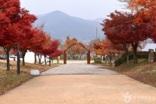 갑오동학혁명 100주년 기념탑 관광 정보와 주변 관광 명소 및 근처 맛집 여행 정보