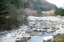 소금강장천마을 관광 정보와 주변 관광 명소 및 근처 맛집 여행 정보