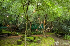 돌하르방미술관 관광 정보와 주변 관광 명소 및 근처 맛집 여행 정보