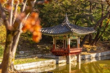 서울 운현궁 - 주변 여행 및 근처 관광 명소 - 국내 여행 정보와 관광 명소 정보