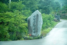 선달산(영월) 관광 정보와 주변 관광 명소 및 근처 맛집 여행 정보