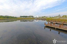 아라빛섬 관광 정보와 주변 관광 명소 및 근처 맛집 여행 정보