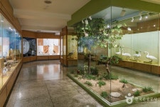 경희대학교 자연사박물관 문화 정보와 주변 관광 명소 및 근처 맛집 여행 정보