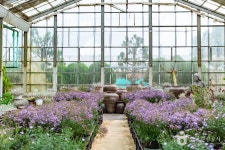 세계꽃식물원 관광 정보와 주변 관광 명소 및 근처 맛집 여행 정보