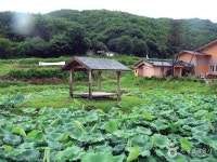 안성 구메농사마을 관광 정보와 주변 관광 명소 및 근처 맛집 여행 정보