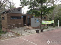 西帰浦自然休養林（서귀포자연휴양림） - 観光 - 韓国旅行・観光情報