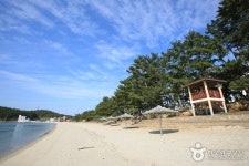 松湖海水浴場（송호해수욕장） - 観光 - 韓国旅行・観光情報