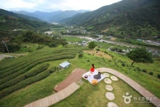 하동 삼신녹차마을 - 주변 여행 및 근처 관광 명소 - 국내 여행 정보와 관광 명소 정보