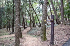 봉명산시립공원 관광 정보와 주변 관광 명소 및 근처 맛집 여행 정보