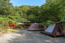 송백농원캠핑장 레저스포츠 정보와 주변 관광 명소 및 근처 맛집 여행 정보