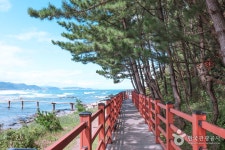 덕산해변 - 주변 여행 및 근처 관광 명소 - 국내 여행 정보와 관광 명소 정보