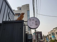 스와니예 - 주변 여행 및 근처 관광 명소 - 국내 여행 정보와 관광 명소 정보
