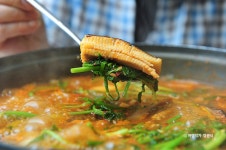 회나라식당 음식점 정보와 주변 관광 명소 및 근처 맛집 여행 정보