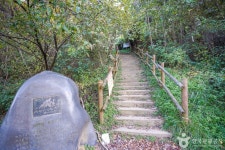 대야산 관광 정보와 주변 관광 명소 및 근처 맛집 여행 정보