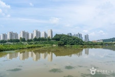은행나무집 - 주변 여행 및 근처 관광 명소 - 국내 여행 정보와 관광 명소 정보