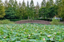 화성홀스파크 - 주변 여행 및 근처 관광 명소 - 국내 여행 정보와 관광 명소 정보