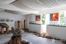 자연사랑미술관 문화 정보와 주변 관광 명소 및 근처 맛집 여행 정보