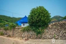 비금도 내촌마을 옛 담장 관광 정보와 주변 관광 명소 및 근처 맛집 여행 정보