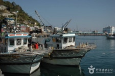 새천년도로변 레저스포츠 정보와 주변 관광 명소 및 근처 맛집 여행 정보