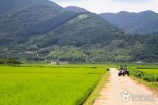 Hadong Agyang [Slow City] (경남 하동 악양 [슬로시티]) - Sightseeing - Korea travel and tourism information