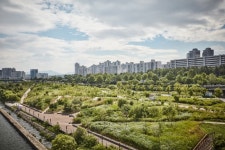 Jamsil Hangang Park (잠실한강공원) - Sightseeing - Korea travel and tourism information