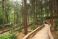国立山陰自然休養林（국립 산음자연휴양림） - 観光 - 韓国旅行・観光情報
