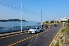동해안일주해안도로(동해), 등뼈를 타고 달리다! - 주변 여행 및 근처 관광 명소 - 국내 여행 정보와 관광 명소 정보